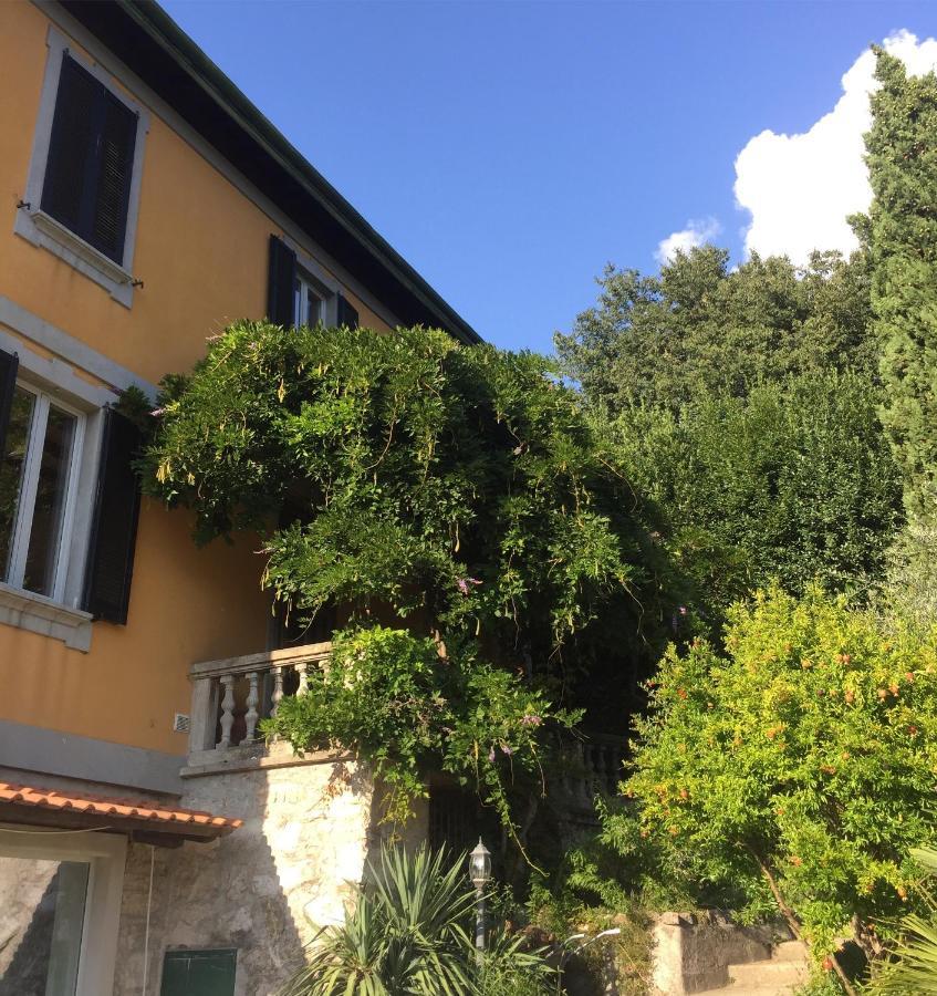 Villa Monte Bianco Манделло-дель-Ларио Экстерьер фото